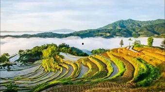 山谷在线观看,穿越自然奇观，感受心灵震撼之旅